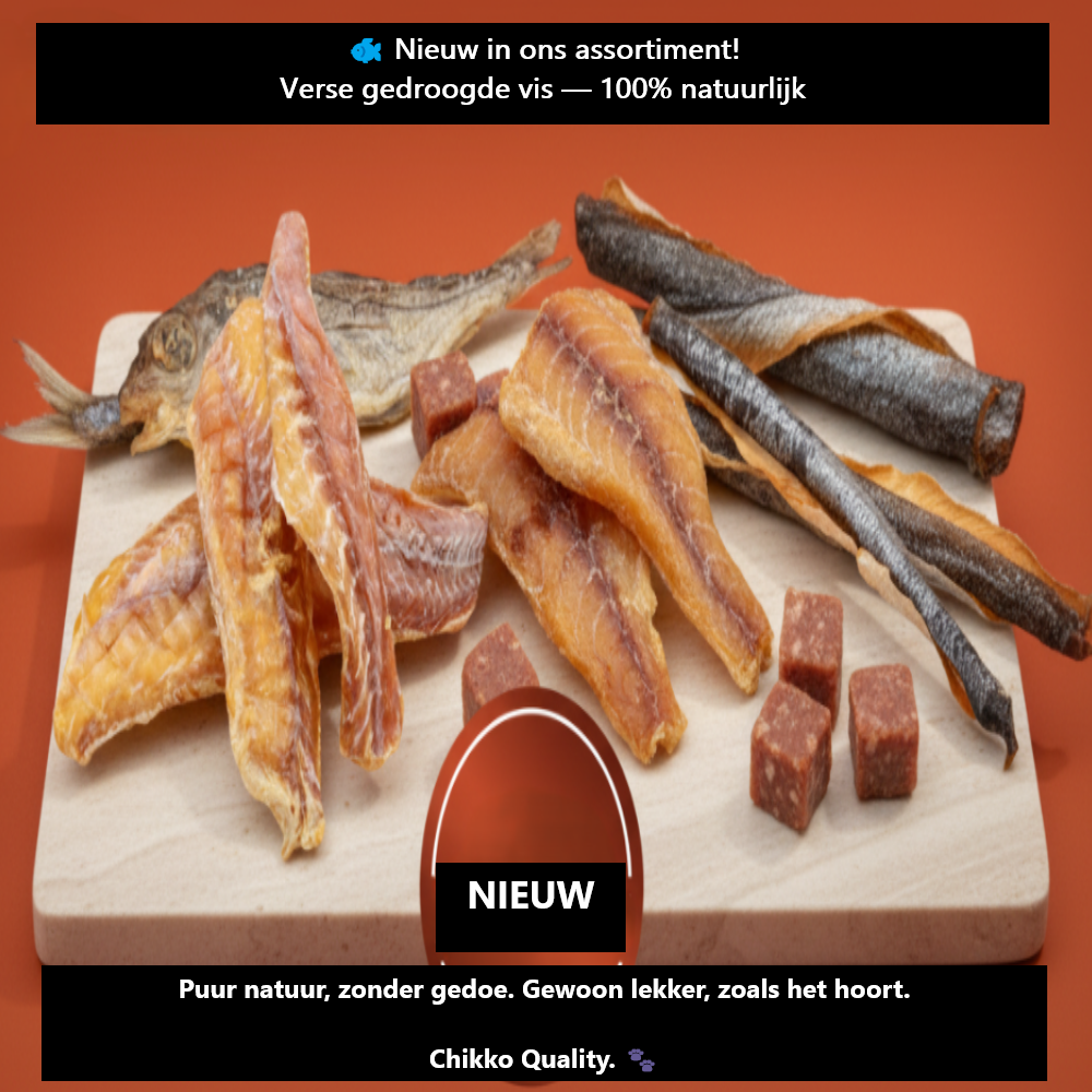 Promotionele afbeelding