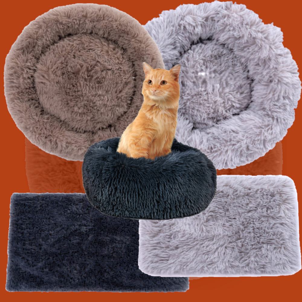 Promotionele afbeelding