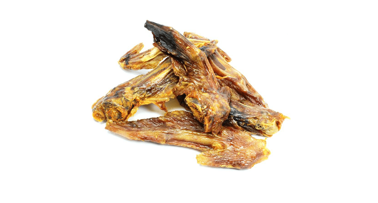 Kalkoen - Diergigant