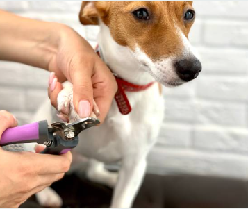 Nagelknippers - Diergigant