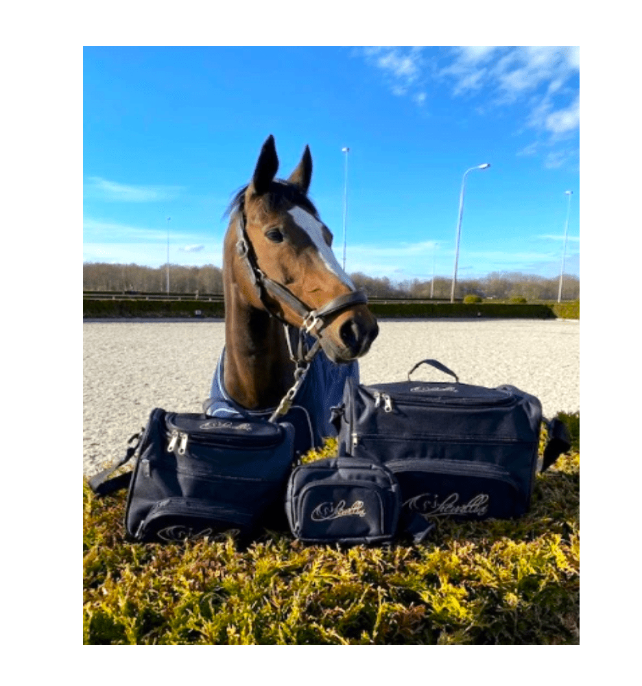 Paarden & Verzorging - Diergigant