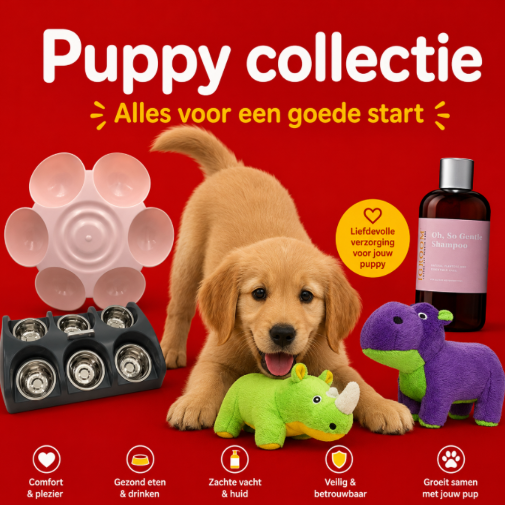 Puppy - Diergigant