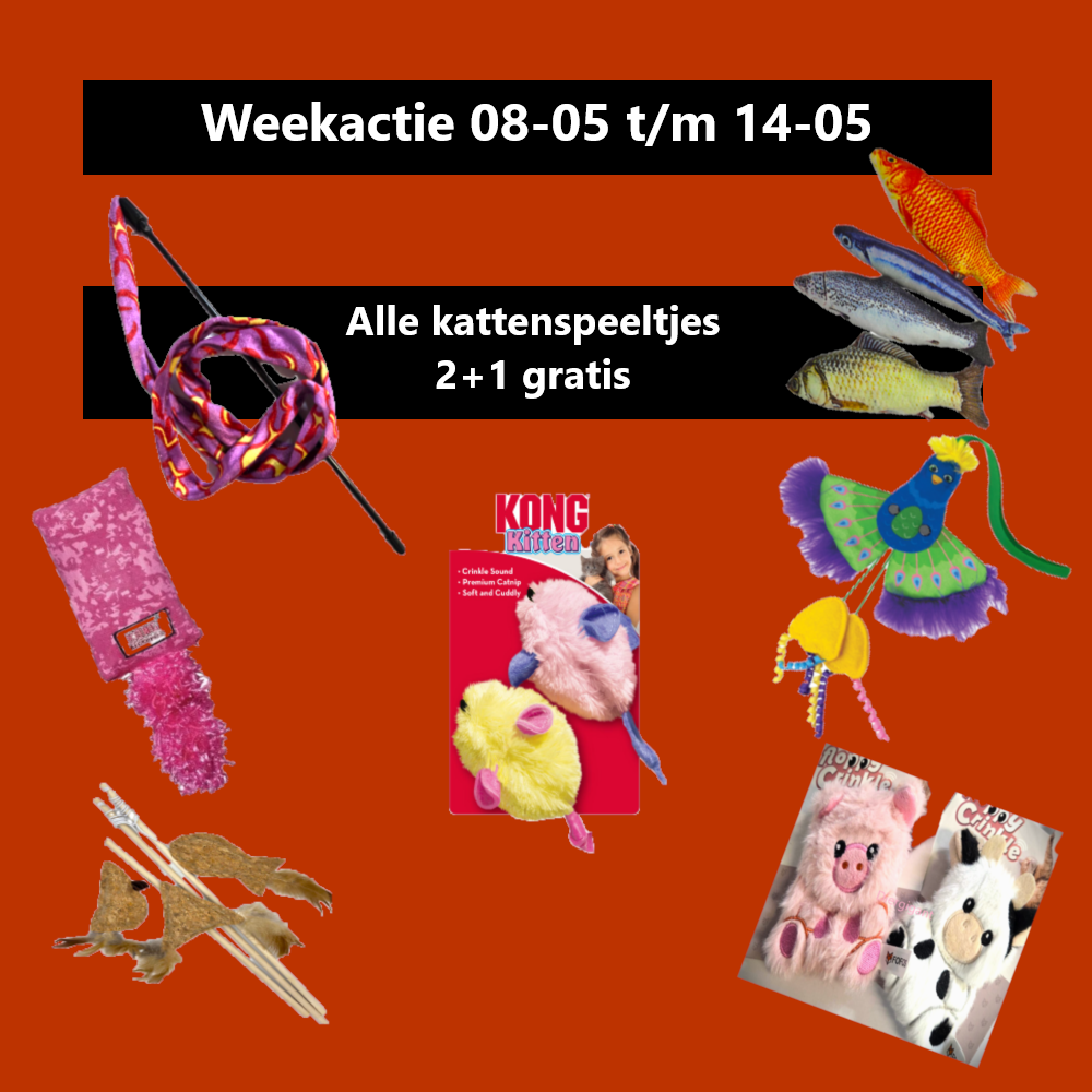 Promotionele afbeelding