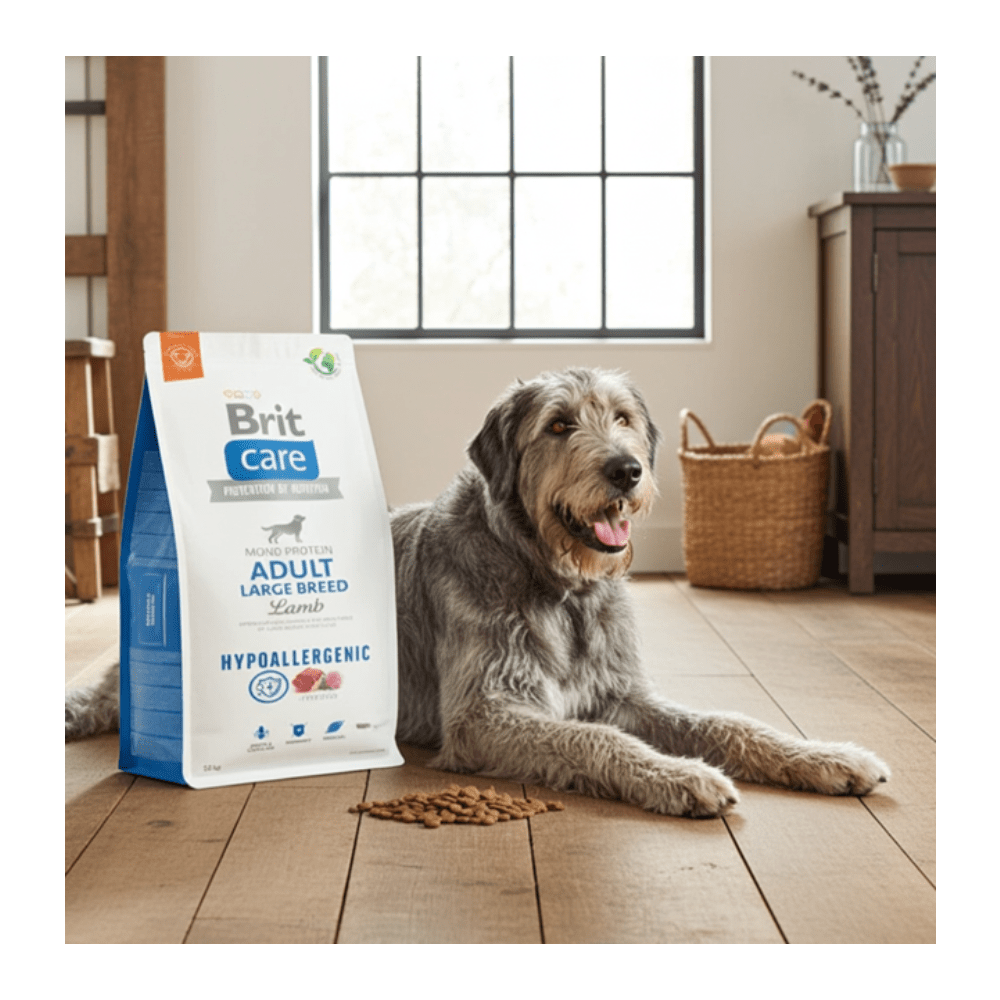 Brit Care - Hypoallergenic - Adult - Large Breed - Lam - 12 kg - Diergigant