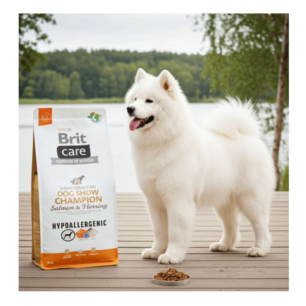 Brit Care - Hypoallergenic - Dog Show Champion - Zalm & Haring - 12 kg - Diergigant