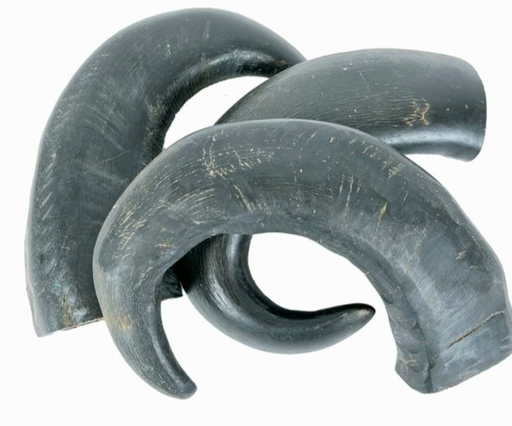 Petsnack - Róg bawoła - Przysmak dla psów - 3 sztuki