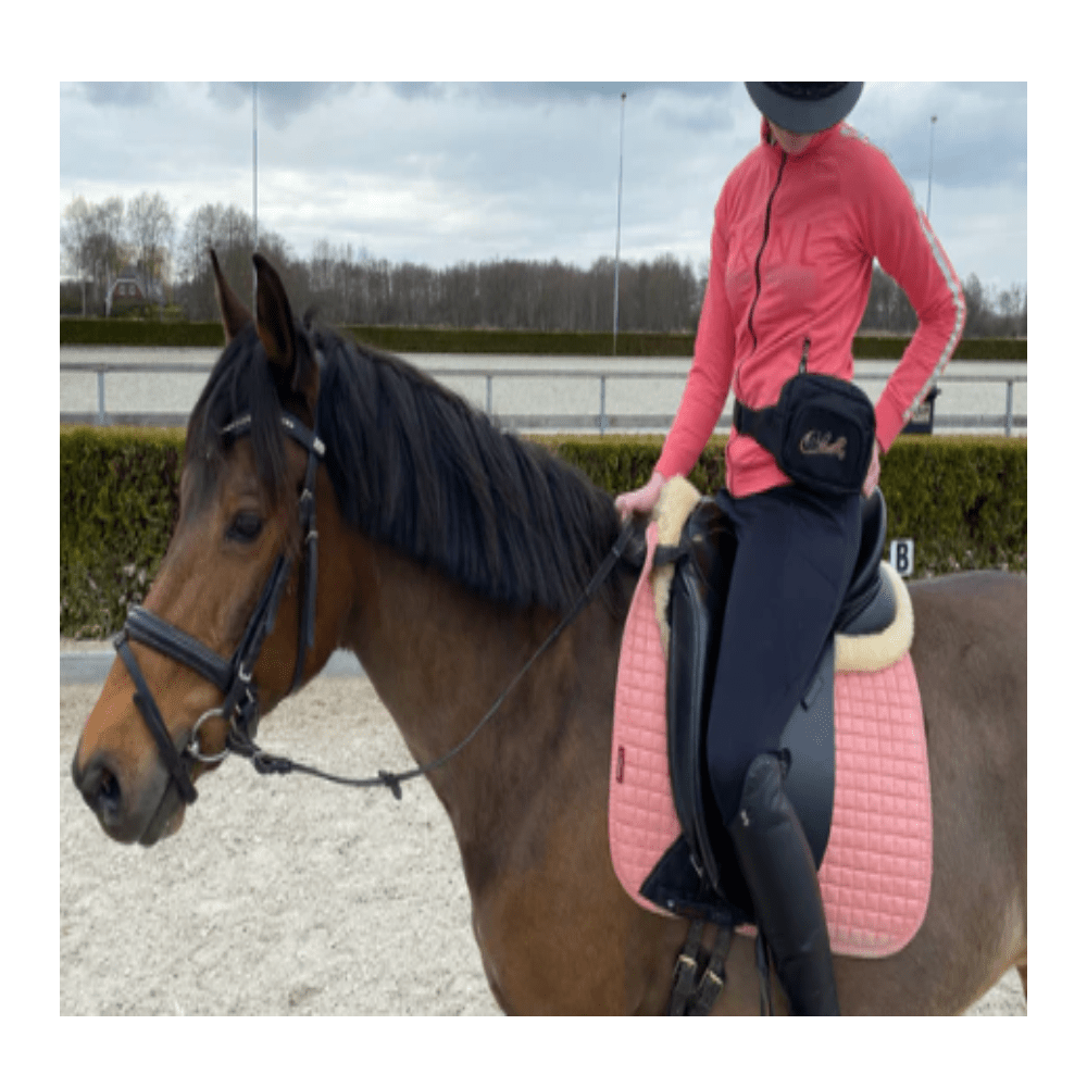 Chevallini - Torba na narzędzia - Przydatna w stajni i w podróży - 12x17x5cm