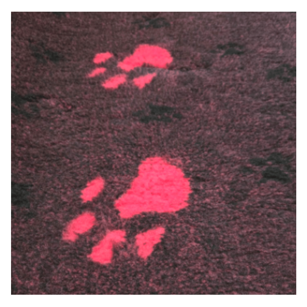 Chikko Quality - Antislip Vetbed - Bordeaux met roze poot - 150x100cm - Diergigant