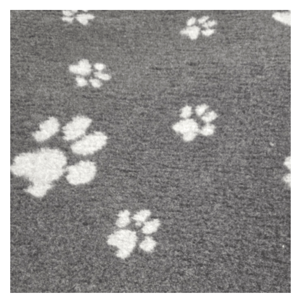 Chikko Quality - Antislip Vetbed - Grijs met Witte pootjes - 150x100cm - Diergigant
