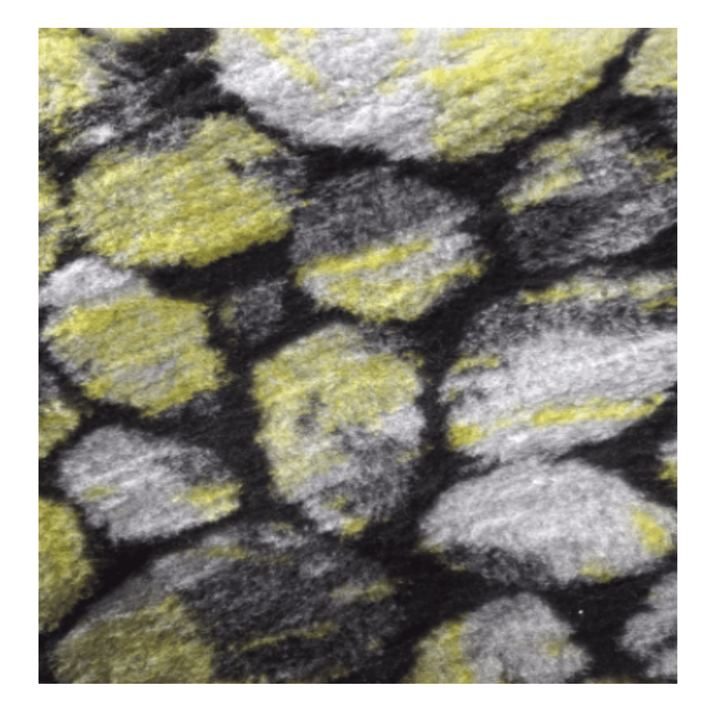 Chikko Quality - Antirutsch Vetbed - Blau/weiß Kariert - 150x100cm