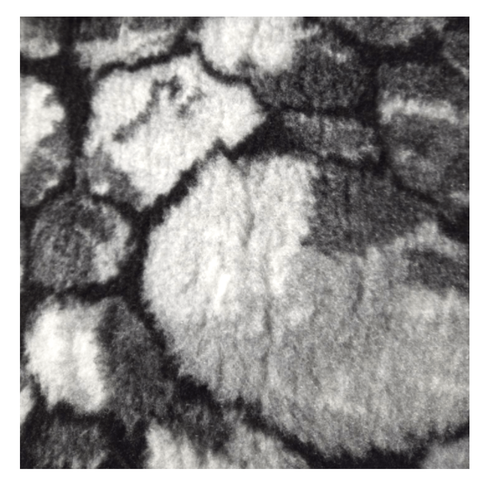 Chikko Quality - Antirutsch Vetbed - Blau/weiß Kariert - 150x100cm