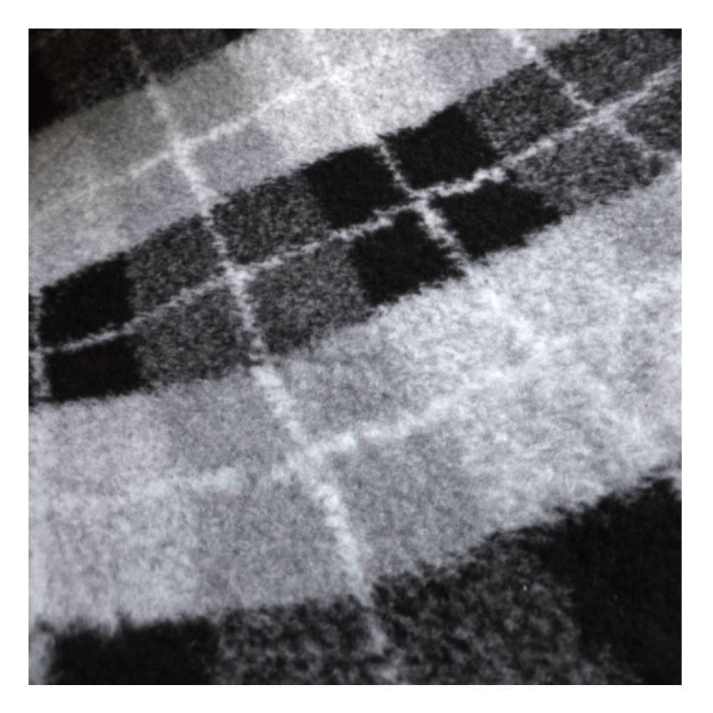 Chikko Quality - Antirutsch Vetbed - Blau/weiß Kariert - 150x100cm