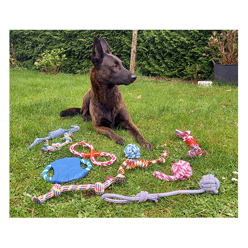 Chikko Quality - Hondenspeeltjes - 10 stuks