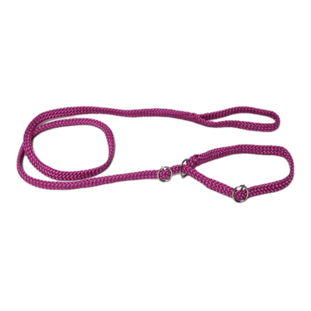 Chikko Quality - Vanglijn met Dubbele Stop - Diverse kleuren - 165cmx10mm - Diergigant