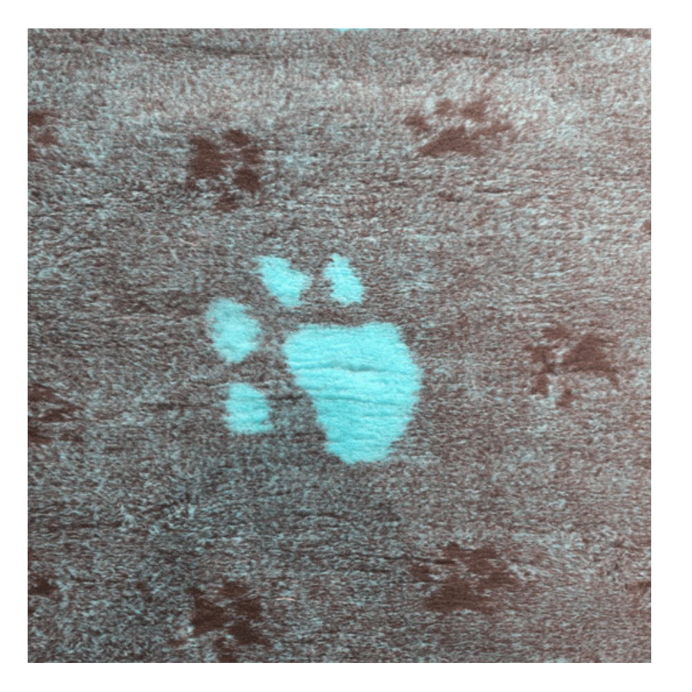 Chikko Quality - Vetbed - Hypoallergen - Aquablå med pote - 100x150cm