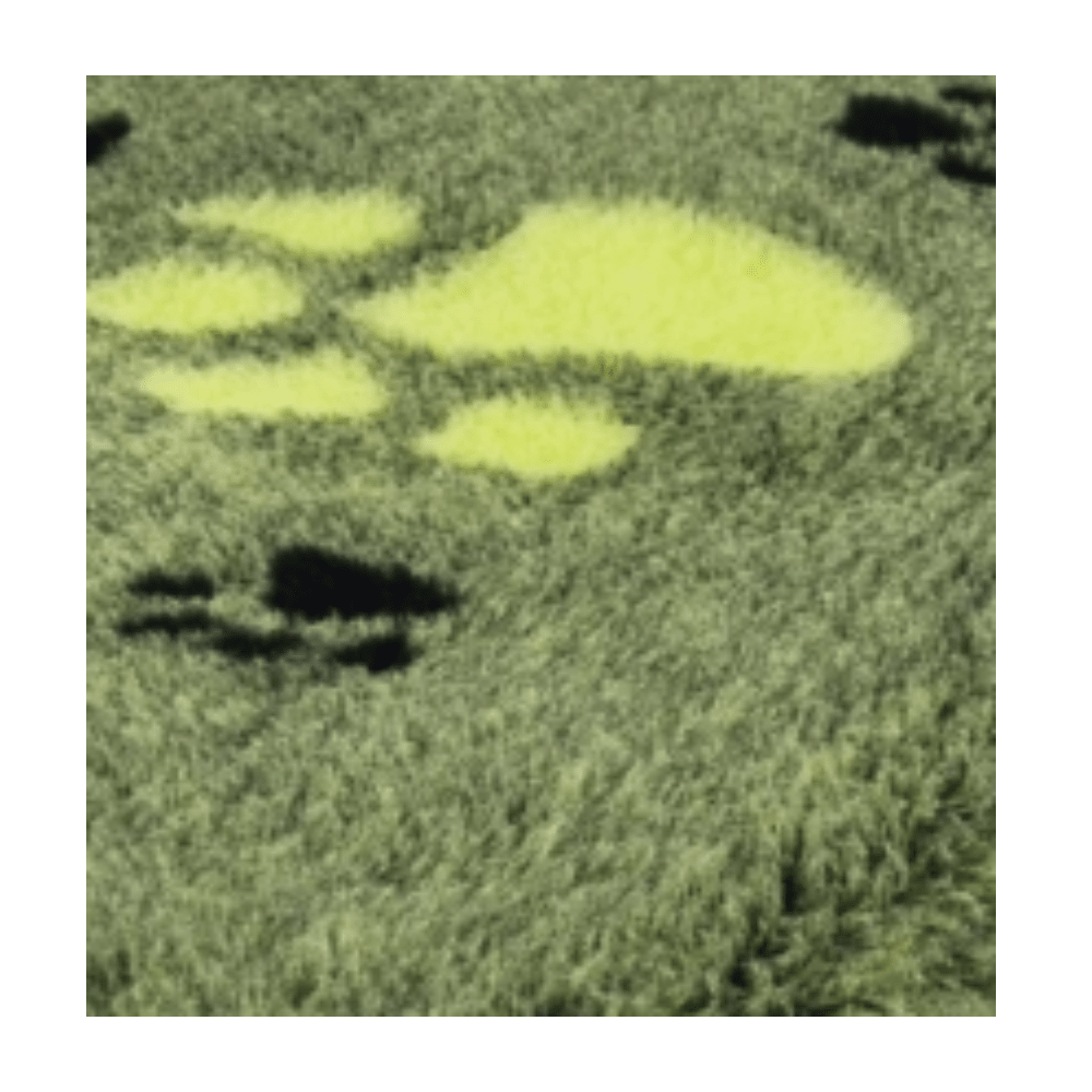 Chikko Quality - Vetbed - Hypoallergen - Grøn med poter - 100x150cm