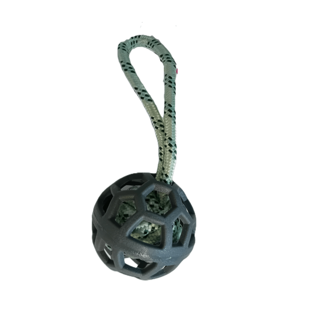 Dogs Collection - Kleurrijk Trektouw met Bal - Duurzaam Hondenspeelgoed - 27cm - Diergigant