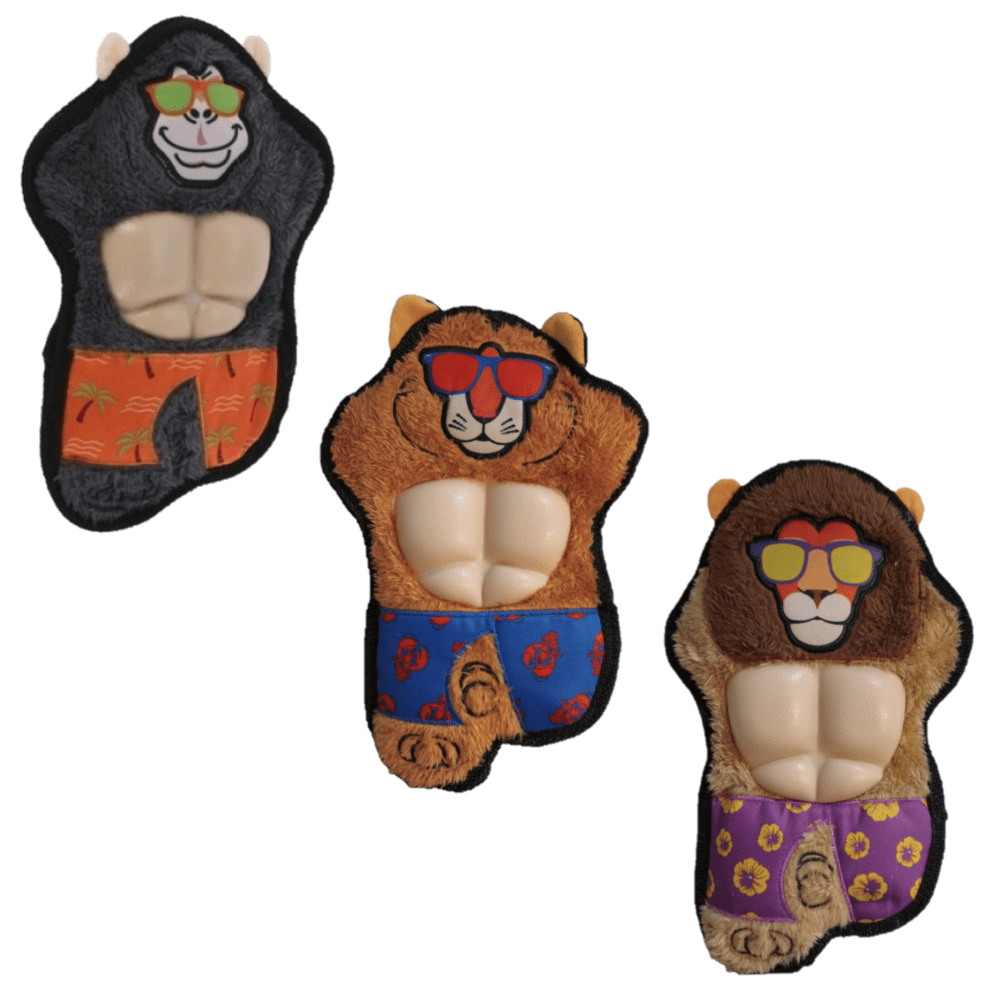 Dogs Collection - Speelgoed voor honden - CoolCat - 28,5 cm