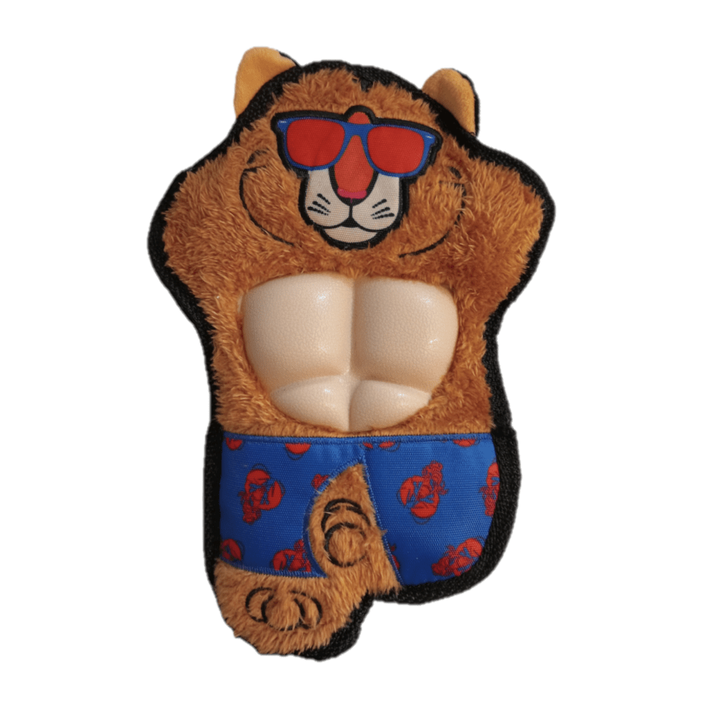 Dogs Collection - Speelgoed voor honden - CoolCat - 28,5 cm