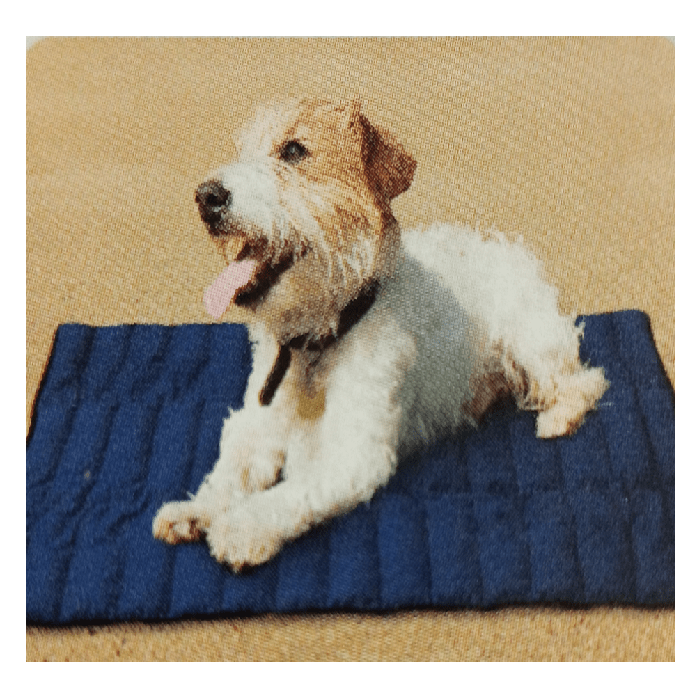 Kæledyrskøler - Kølemåtte til kæledyr - L - 50 x 75cm