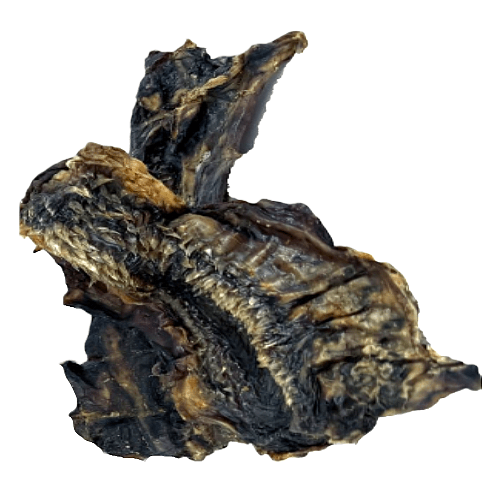 Petsnack - Buffelkus - Eiwitrijke Natuurlijke Kauwsnack - 2st.