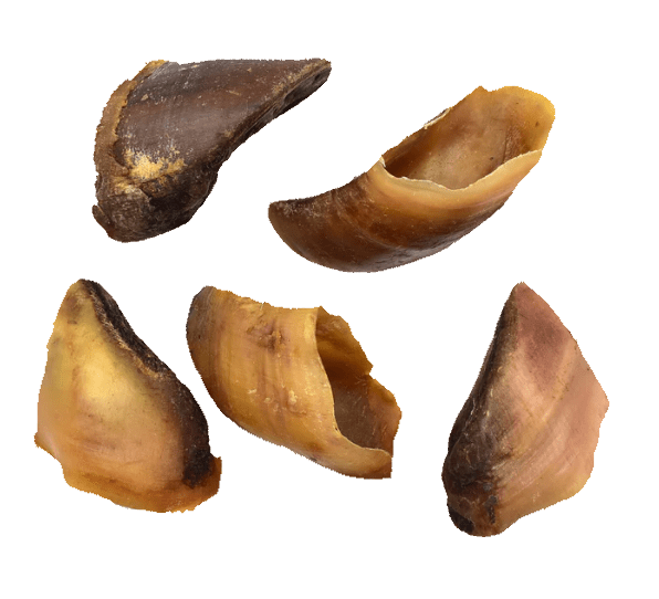 Kalfshoefjes - 100% Natuurlijke snack - Langdurig Kauwplezier - 50 stuks