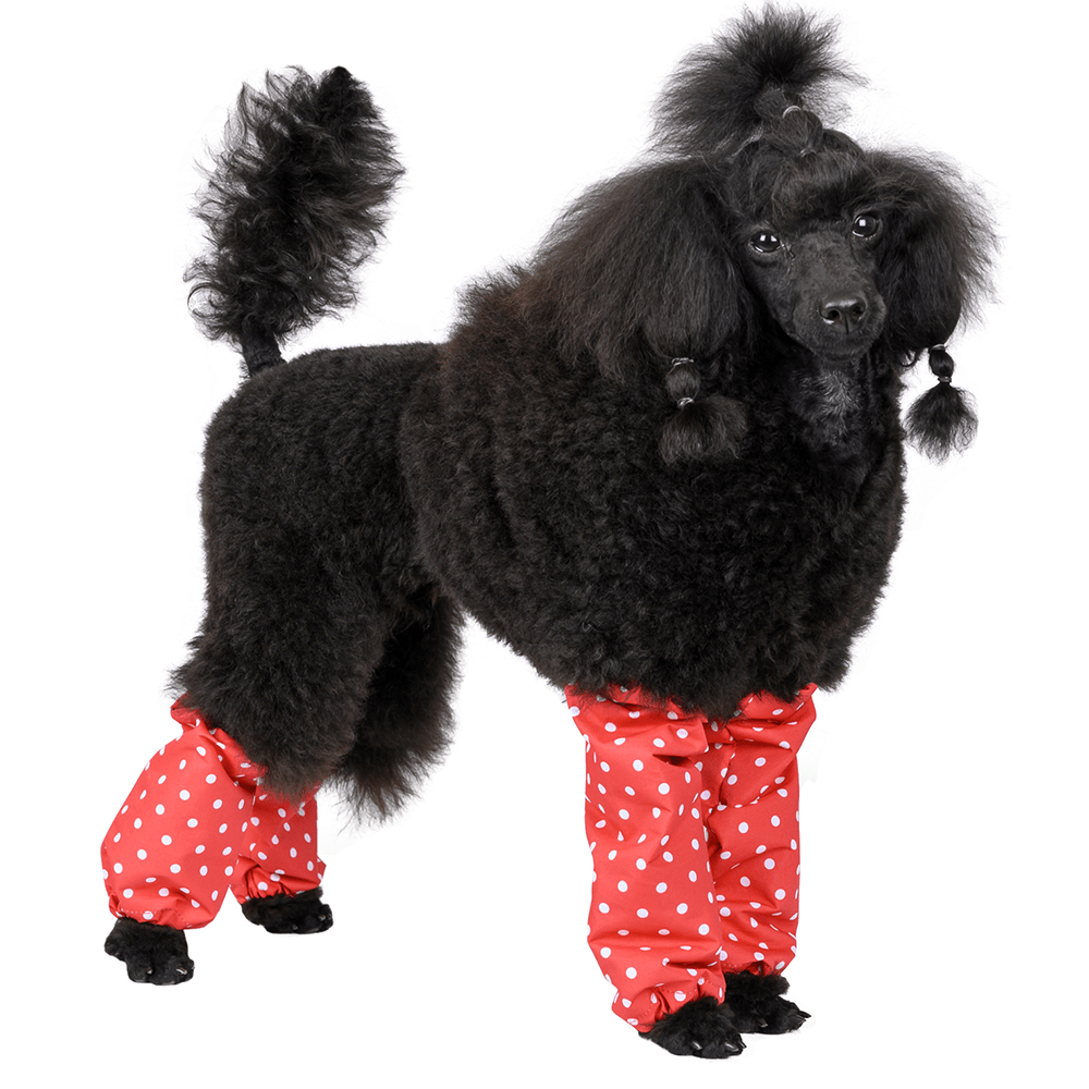 Show Tech - Leggings Polka Dots - Middenslag Poedel