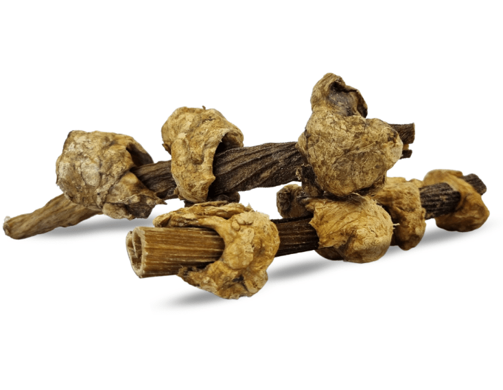 Sheesh Kebab - długie - 500 gram