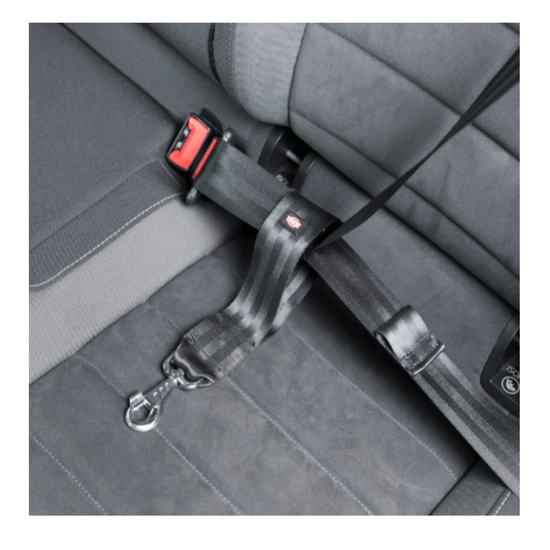 Trixie - Ceinture de sécurité automatique - Transport sécurisé pour votre chien - Universel