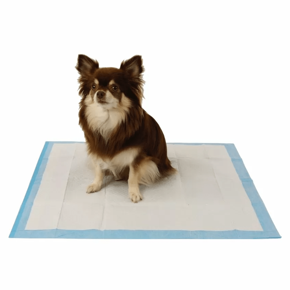 Tapis d'entraînement pour chiots 60x60 cm - Odeur d'herbe pour un entraînement efficace