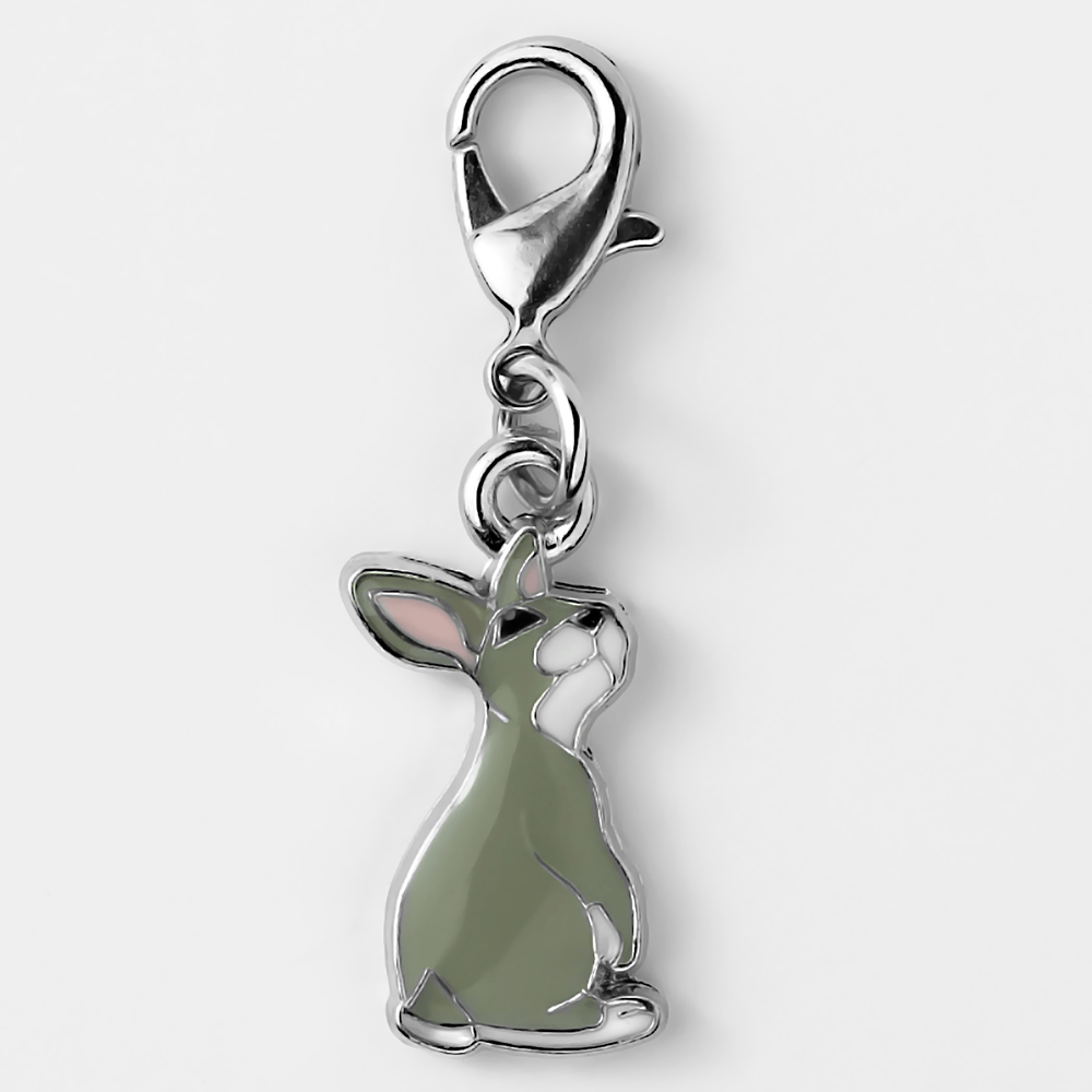 Bedeltje - Élégant pour votre animal de compagnie et vous-même - Lapin