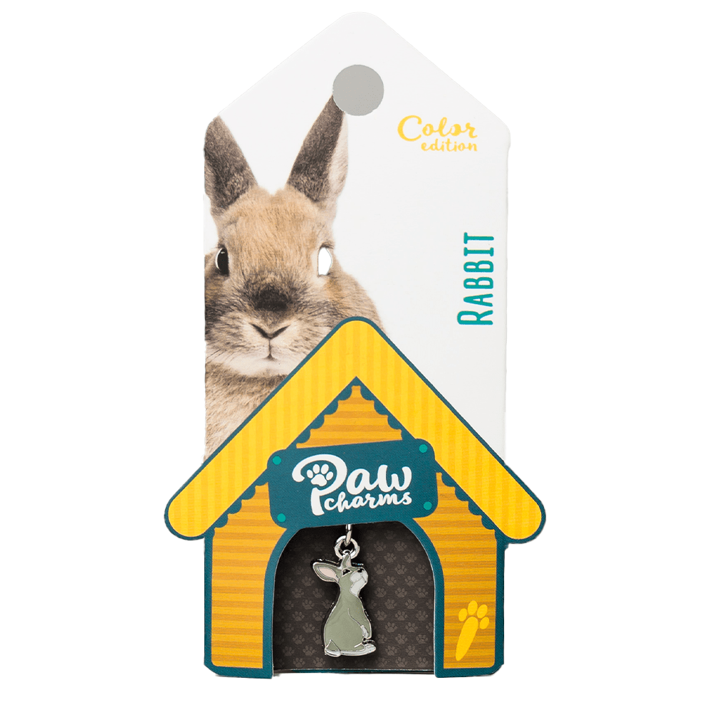 Bedeltje - Élégant pour votre animal de compagnie et vous-même - Lapin