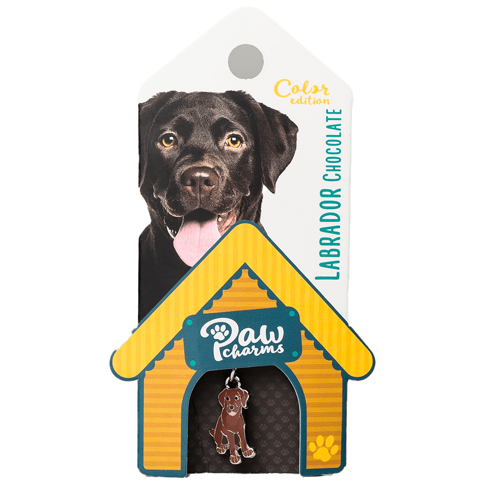 Pendentif - Labrador Marron - Élégant - pour Votre animal de compagnie & vous-même