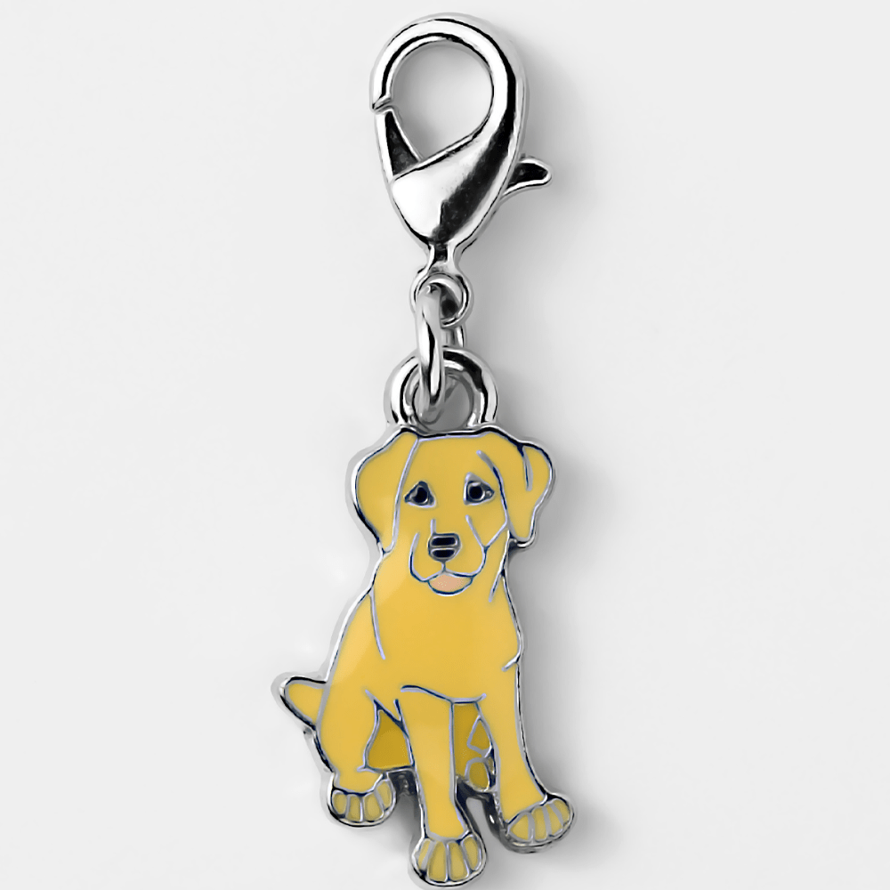 Bedeltje - Élégant pour Votre Animal de Compagnie & vous-même - Labrador Jaune