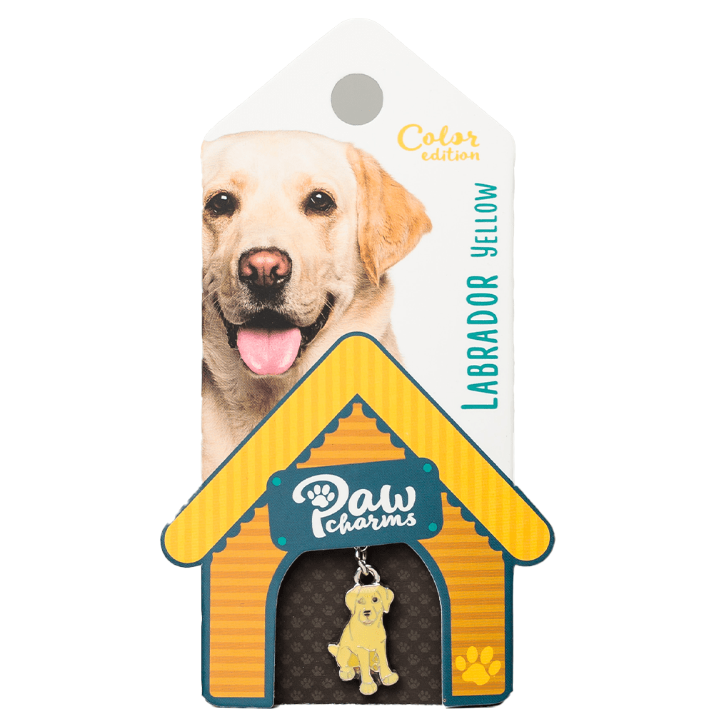 Bedeltje - Élégant pour Votre Animal de Compagnie & vous-même - Labrador Jaune