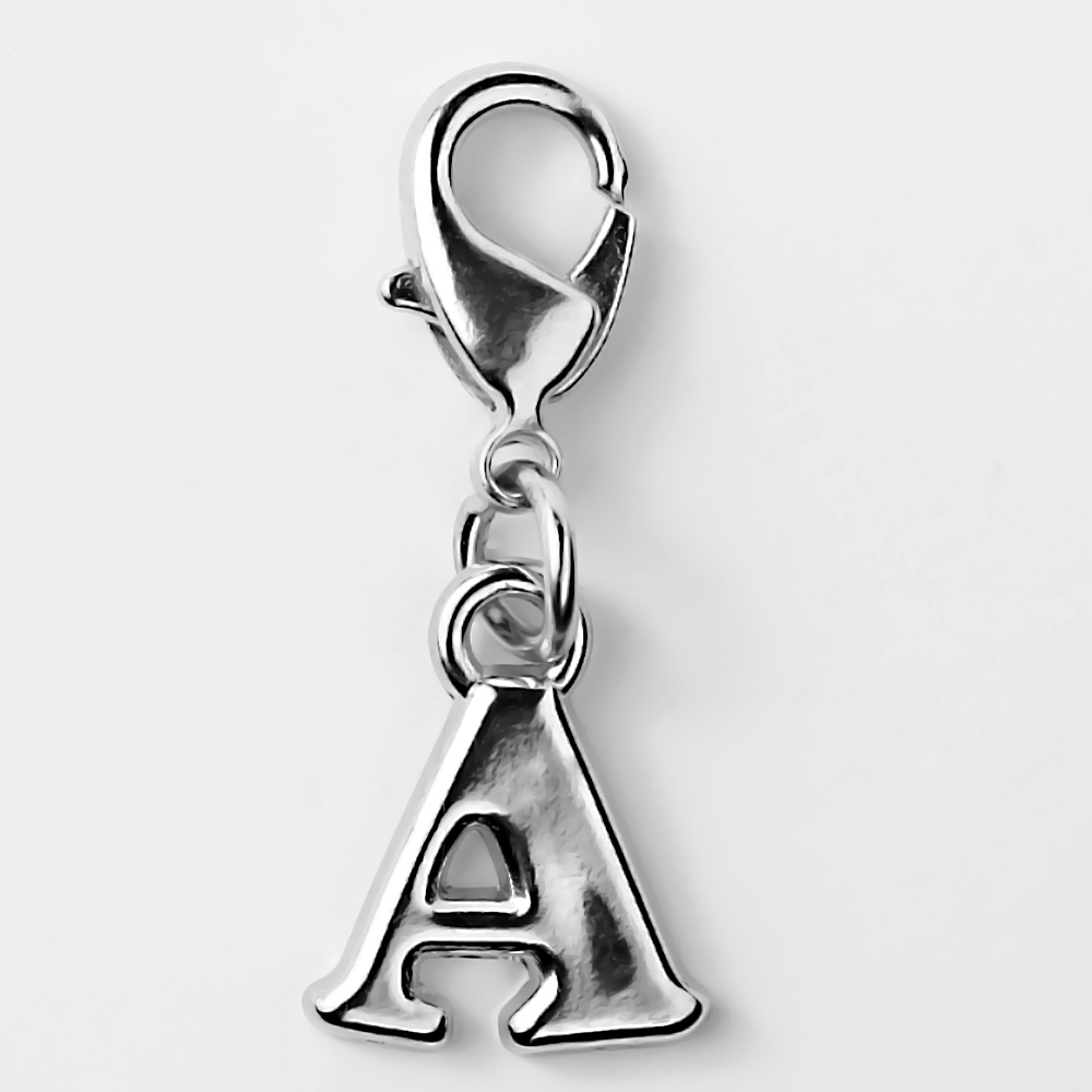 Stylish Charms for Your Pet – Unique & Trendy - A