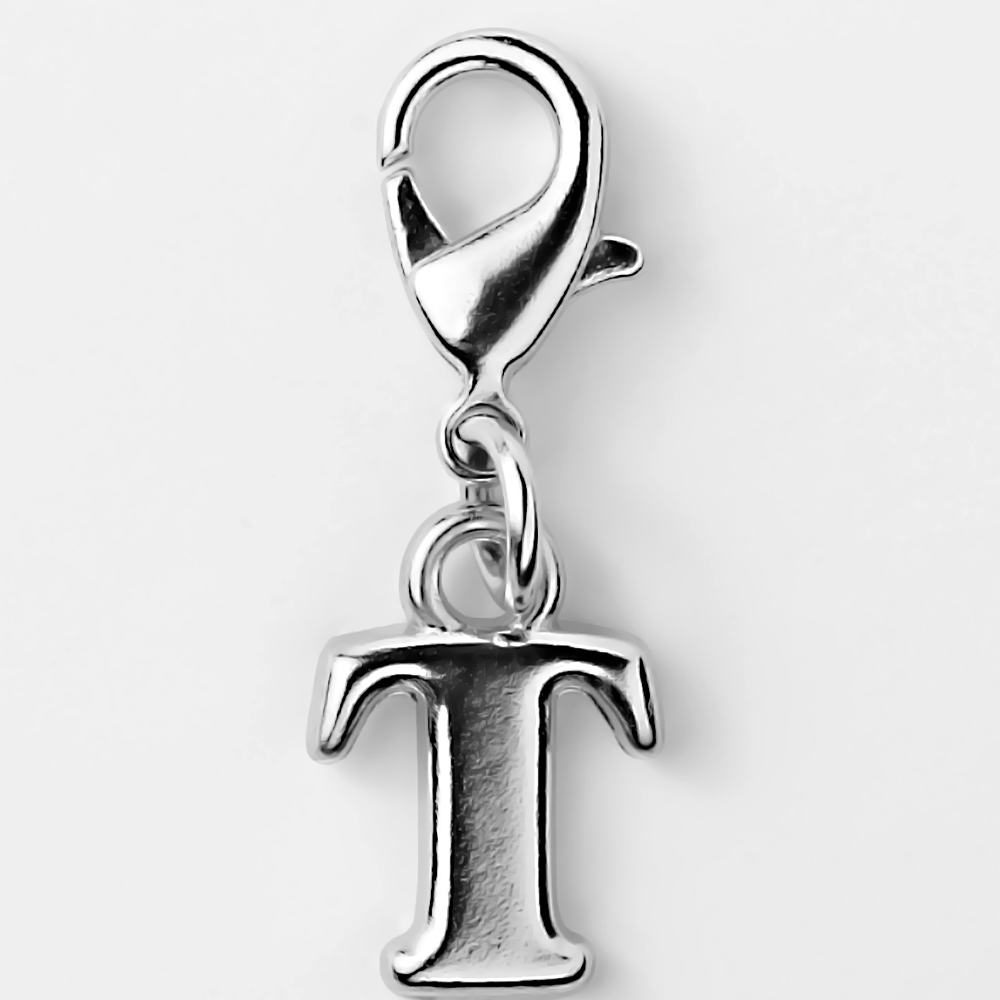 Stylish Charms for Your Pet – Unique & Trendy - T