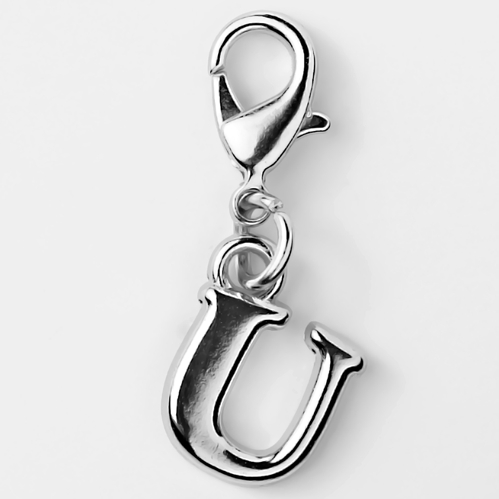 Stylish Charms for Your Pet – Unique & Trendy - U