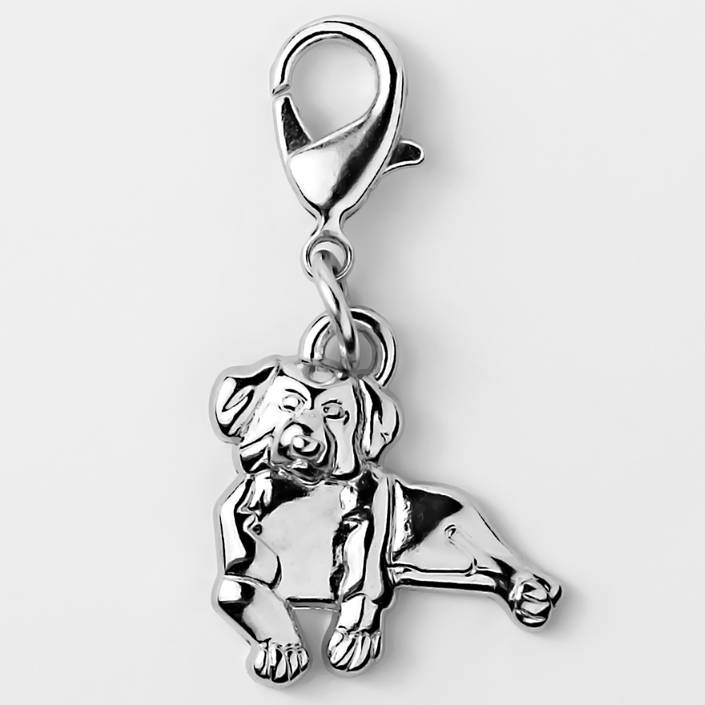 Bedeltje - Élégant pour Votre Animal de Compagnie & Vous-Même - Berner Sennen