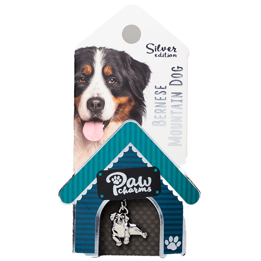 Bedeltje - Élégant pour Votre Animal de Compagnie & Vous-Même - Berner Sennen