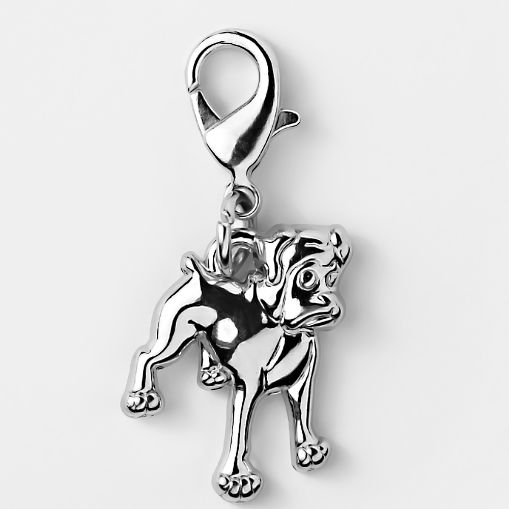 Bijoux - Élégant pour Votre Animal de Compagnie & Vous-Même - Boxer