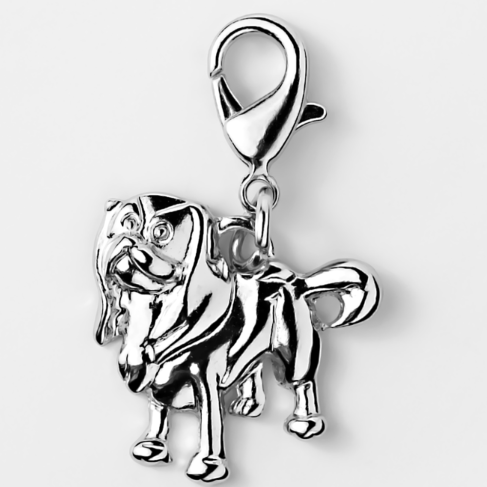 Pendentifs - Élégants pour Votre Animal de Compagnie & Vous-même - Cavalier