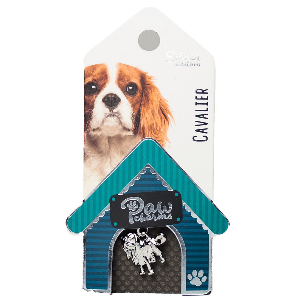 Pendentifs - Élégants pour Votre Animal de Compagnie & Vous-même - Cavalier
