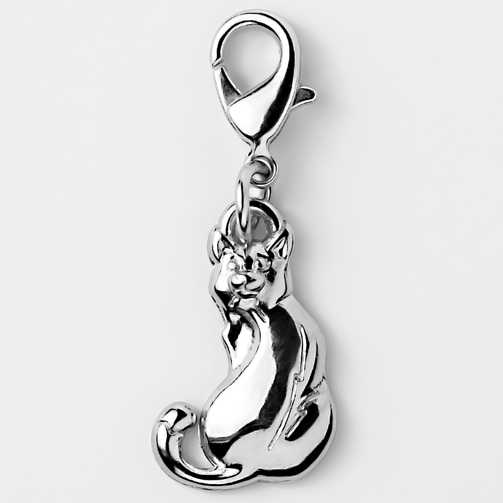 Bijoux Stylés pour Votre Animal de Compagnie – Unique & Tendance - Chat