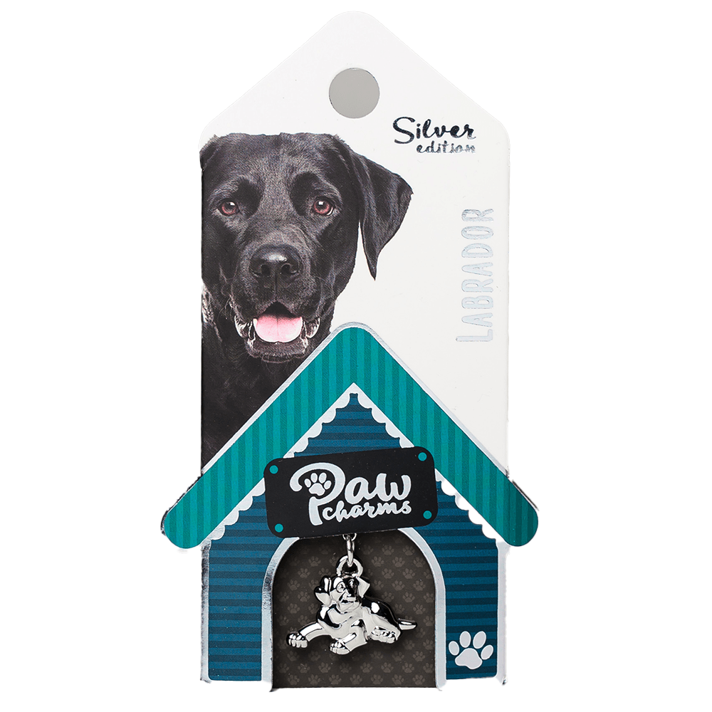 Charm Labrador Silver The stylish accessory for your pet yourself