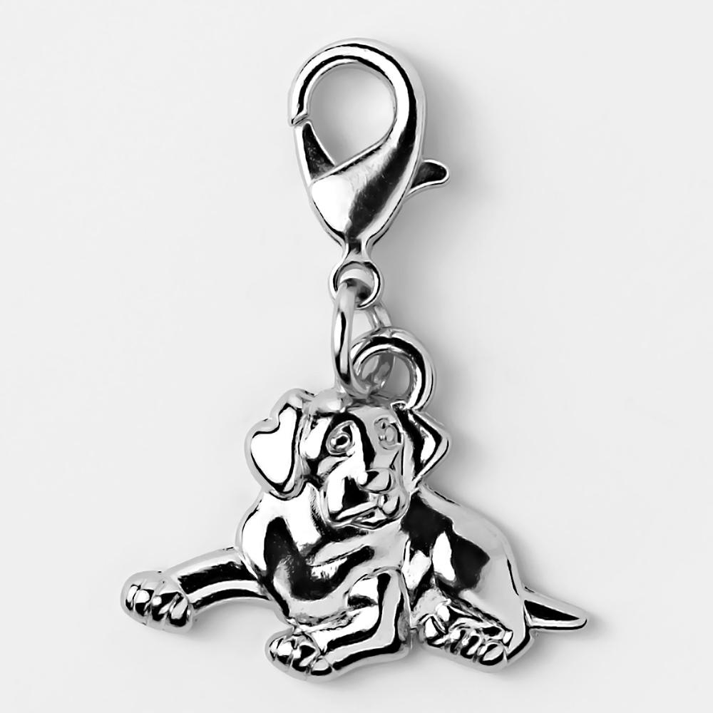 Bedeltje - Élégant pour Votre Animal de Compagnie & Vous-Même - Labrador