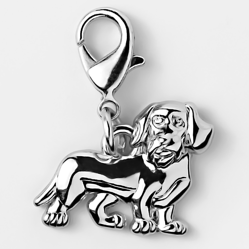 Bedeltje - Élégant pour Votre Animal de Compagnie & Vous-Même - Teckel