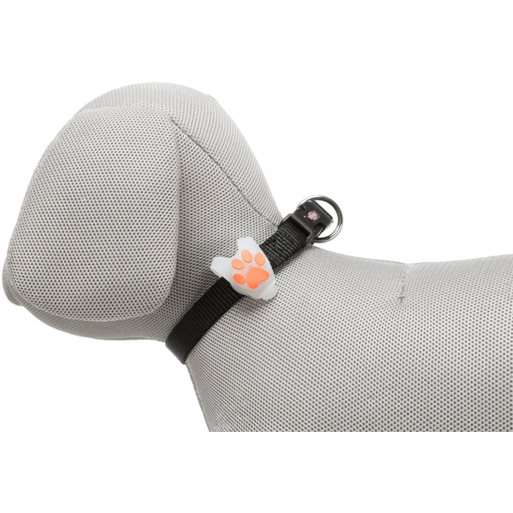 Lampe Clignotante pour Chiens