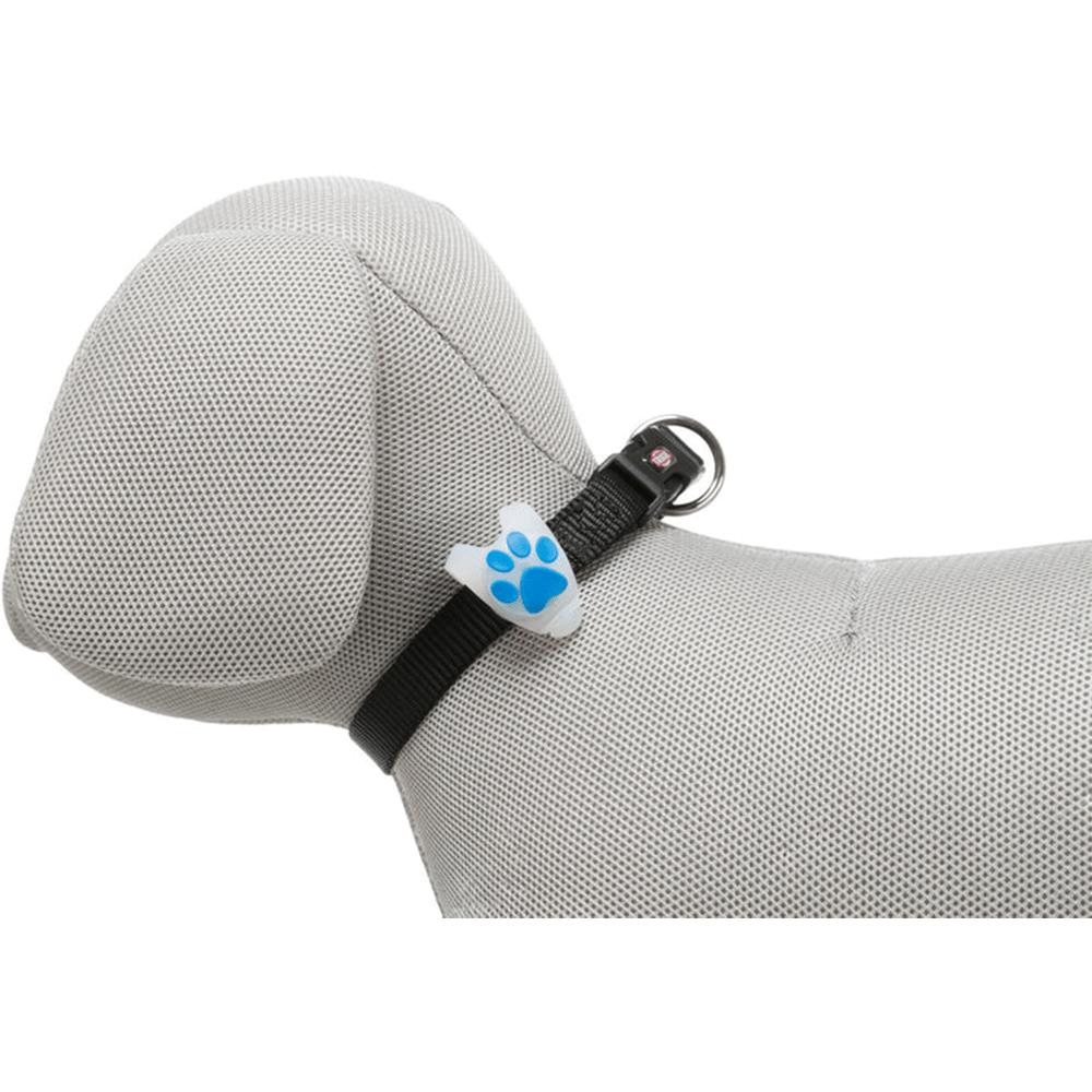 Lampe Clignotante pour Chiens