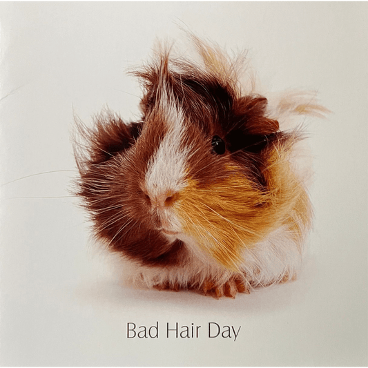 Kaart 14x14cm Bad Hair Day